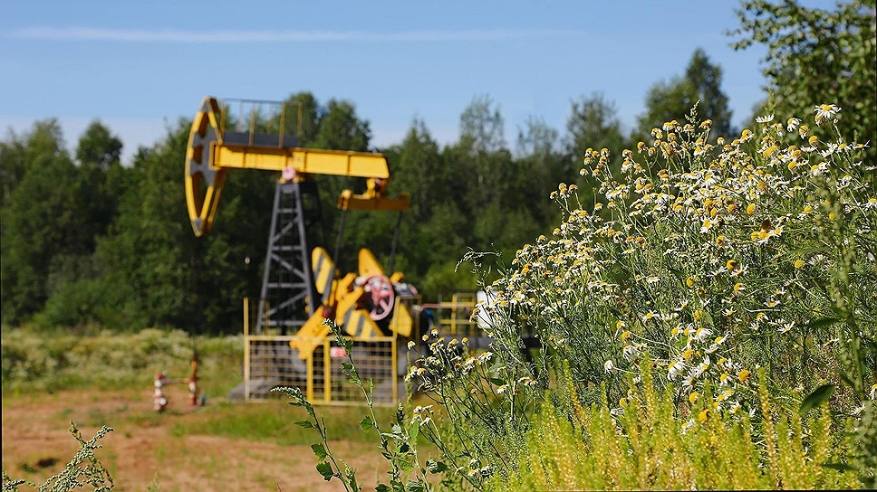 «Удмуртнефть» модернизирует Мишкинское месторождение в Удмуртии