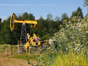 «Удмуртнефть» модернизирует Мишкинское месторождение в Удмуртии
