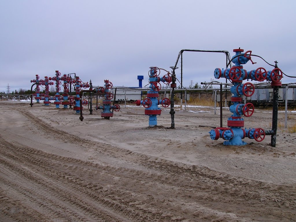«Газпромнефть-Хантос» проведет обустройство кустов скважин № 64 и 701 на Западно-Зимнем лицензионном участке